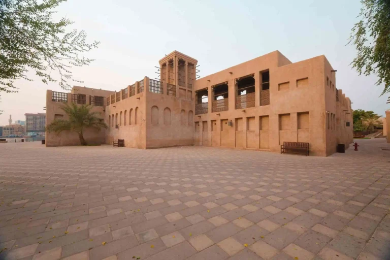 pexels-walidphotoz-33665954 (1) (1)